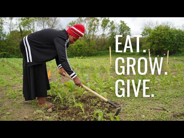 Eat, Grow, Give: Waterloo Region's Local Food System