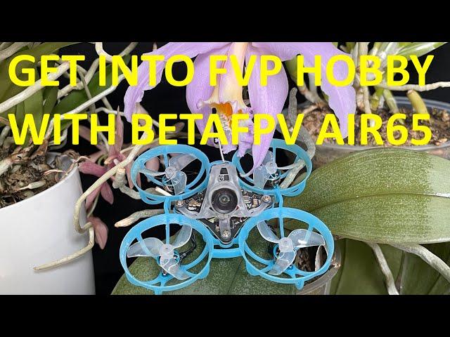 Get Into FPV Hobby with BETAFPV AIR65. Wait for very valuable advise at the end!