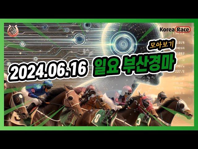 2024년 6월 16일 일요 부산경마 전체경주 모아보기#경마예상 #온라인경마 #마패