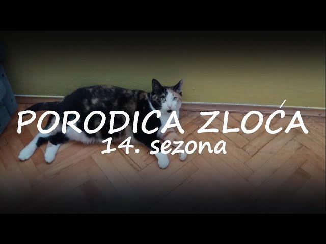 Porodica Zloća - Epizoda 618 (Season 14)