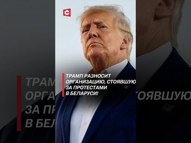 Трамп разносит организацию, стоящую за протестами в Беларуси! #политика #протесты #usaid #трамп #сша