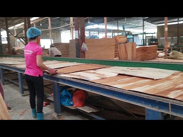 Film faced plywood production process