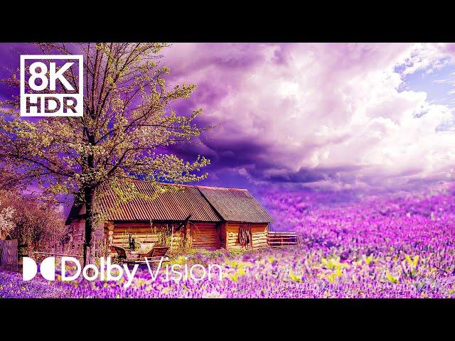 Soothing Landscapes in Dolby Vision™ 8K HDR