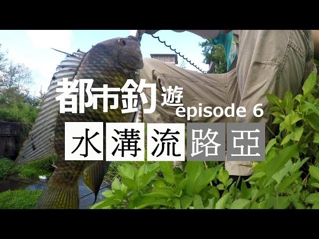 【水溝流路亞-6】【宜蘭釣點】-路邊釣全餐-吉利吳郭魚/烏尾冬/大眼海鰱/泰國鯽魚 Lure Snake Head fishing Asia Taiwan  | 雷強|路亞|假餌|黑魚|黑鱸