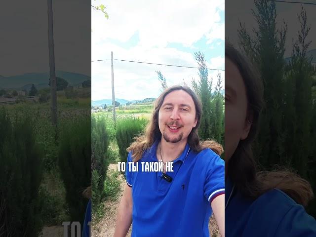 Переходи в мой тг-канал и присоединяйся к бесплатному вебинару! #гипнотерапия