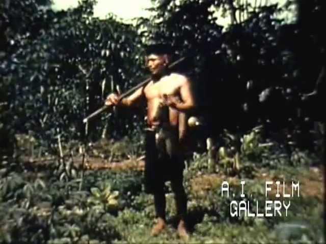 The Head Hunters of Ecuador, TV series Bold Journey, 1957