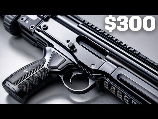 If I Only Have $300, What Should I Buy? The Best Gun Options!