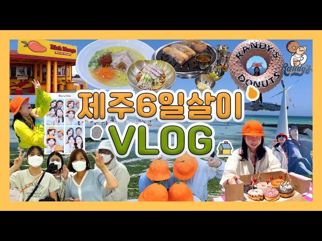 [VLOG] 제주 '6일'살이 2편with.(구)현지인 | 협재 해수욕장 | 신창풍차해안도로 | 랜디스도넛 | 섭지코지