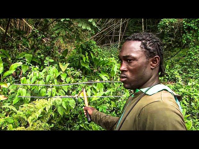 Why Jamaica is a Paradise of Natural Beauty and Adventure? | Documentary