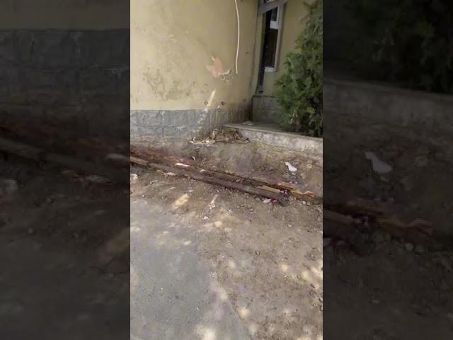 Жители 12 микрорайона Актау жалуются на отсутствие асфальтового покрытия