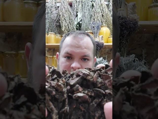 золотой корень/ родиола розовая