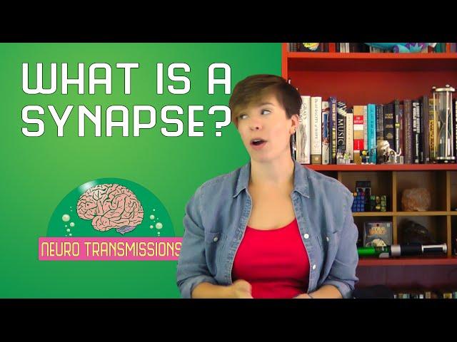 What is a synapse?
