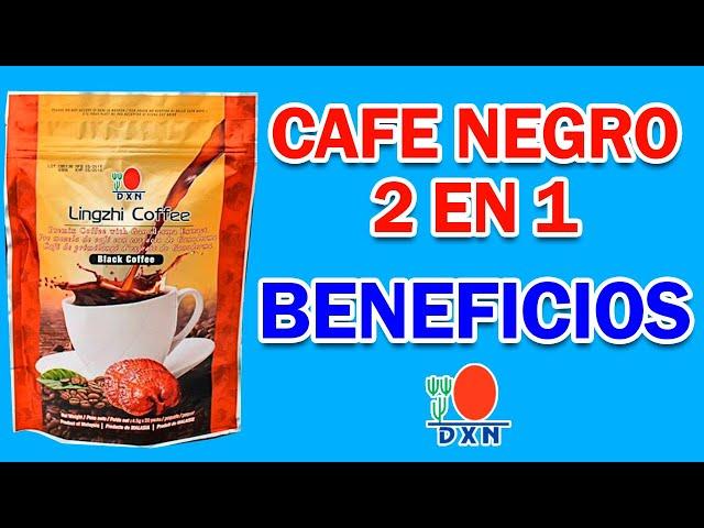 CAFE Lingzhi Black Coffee 2 en 1 Dxn: Beneficios, Para Que Sirve, Como Tomarlo