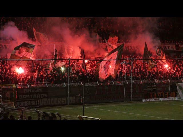 14.03.2025 | BSG Chemie Leipzig - FC Rot-Weiß Erfurt | Regionalliga Nordost