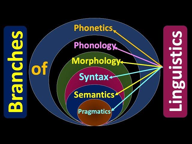 Branches of Linguistics; Phonetics; Phonology; Morphology; Syntax;Semantics;Pragmatics #linguistics