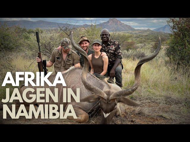 Unglaubliche Jagd in Namibia! Auf Gnu, Impala, Kudu, Oryx, Dikdik, Stein & Springbock