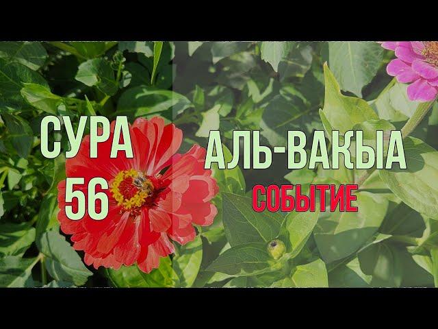 Красивое чтение Корана - Сура Аль Вакыа. Сура для защиты от нищеты и бедности по милости Аллаха.