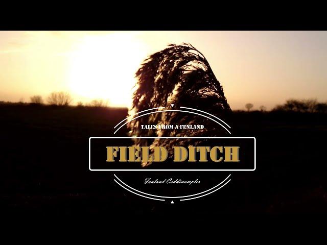 Tales From a Fenland Ditch: A Year on