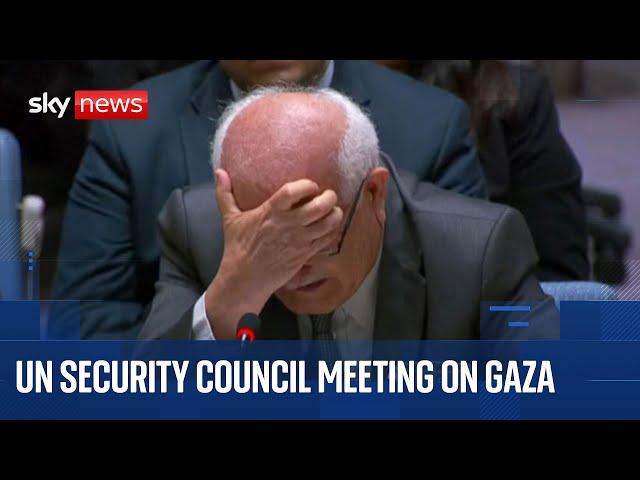 UN Security Council meeting on Middle East amid claims Hamas's Gaza chief has been 'eliminated'