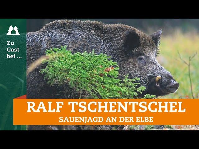 Sauenjagd | Zu Gast bei … Ralf Tschentschel | Schwarzwild | Rotte | Keiler | Ansitz