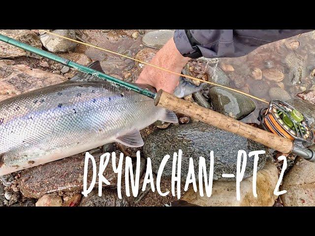 Salmon fishing Scotland: River Findhorn