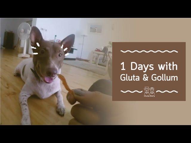 Gluta Story : 1 Day with Gluta & Gollum through GoPro