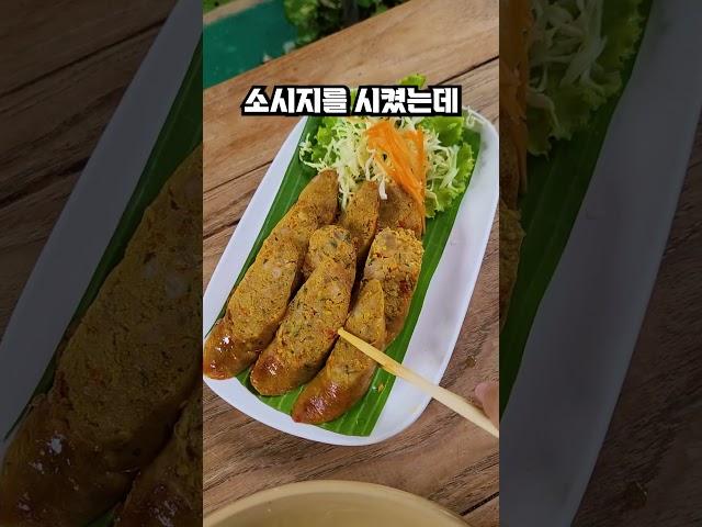 한국인 혼자 "태국 치앙마이"에서 24시간 살아남기