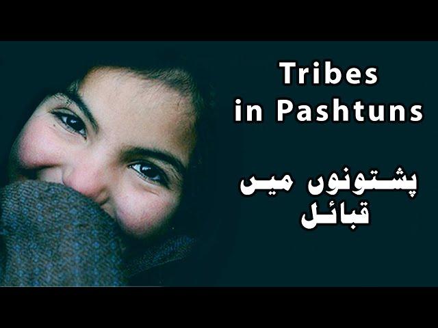 Tribes in Pashtuns/Afghans | What is your Tribe in Pashtun? | What Do you Know about your Tribe?