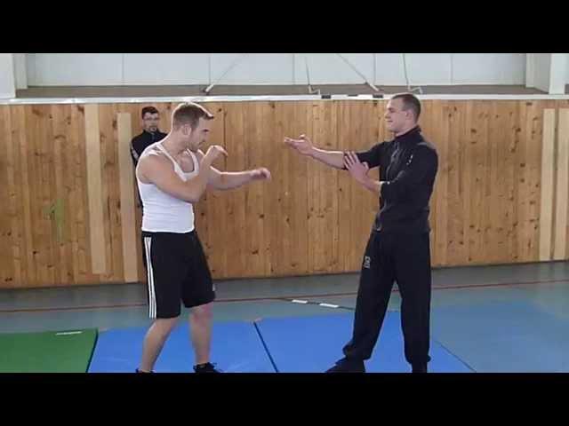 Wing Chun vs MMA