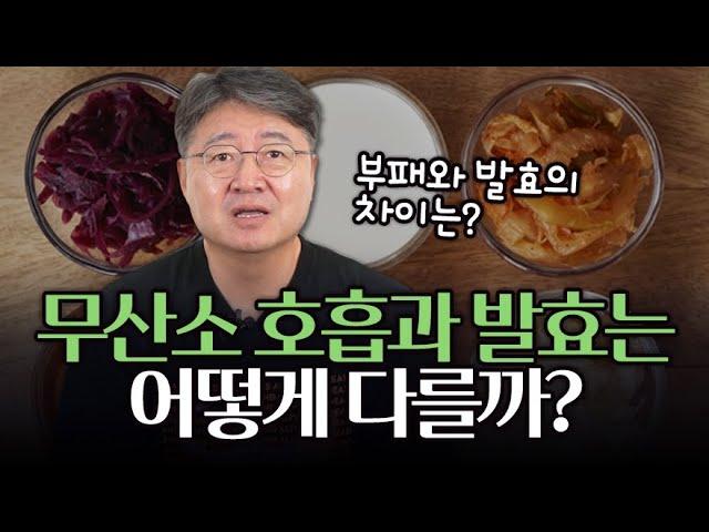 호흡과 발효의 차이? 생명과학 교과서 속으로 10편!
