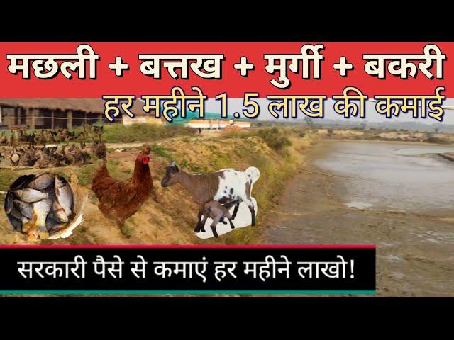 integrated fish duck and goat farming system | Integrated Farming | Fish Farming | Duck Farming