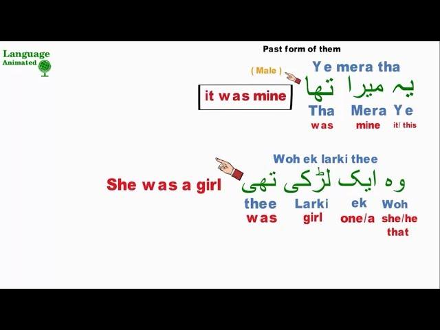 Learn Urdu - Lesson 7 - Basic Words and Phrases ( Part 2 )