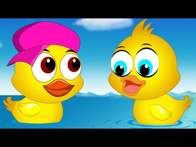 Shan Shimbiroo Yar Yar | 5 Little Ducks in Somali Version | Somali Kids Songs | Heesaha Caruurta