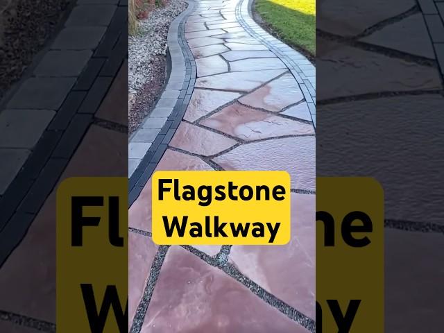 Build a Flagstone Walkway start to finish ️ #landscaping #hardscaping #hardscapetraining