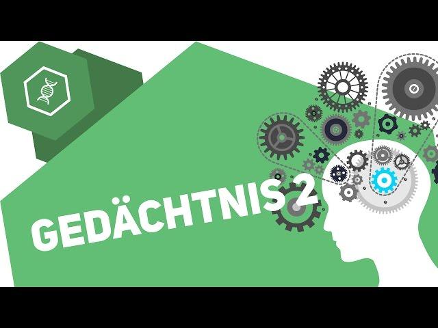 Langzeitgedächtnis – Gedächtnis 2