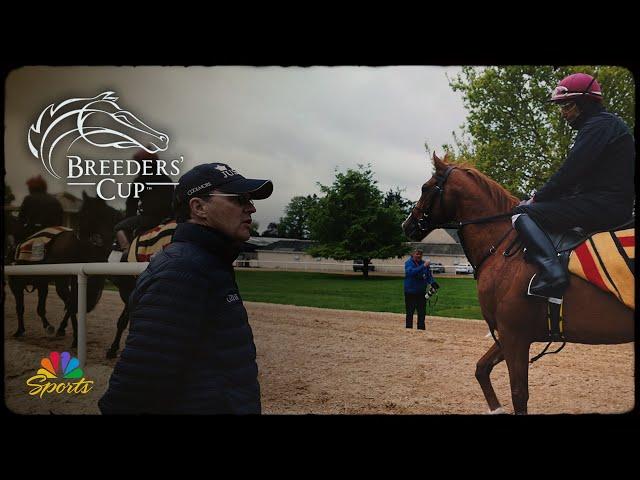 Aidan O'Brien's horse training wonderland at Ballydoyle | NBC Sports