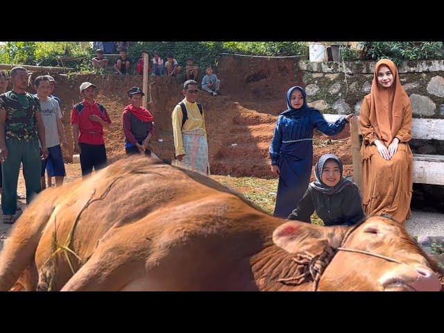 MASYA ALLAH !! QURBAN SAPI MILIK HAMBA ALLAH SINGAPURA DI KAMPUNG RAHMAT CHANNEL BERLANGSUNG MERIAH