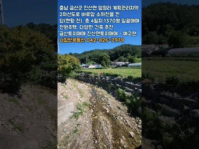 복수면사무소 진산면사무소 인근 계획관리지역 2차선도로 소하천을 낀 대형토지매매 #금산토지매매 #진산면토지매매 #복수면토지매매 #엄정리토지매매 #진산면주택지매매 #부동산 - 예고편