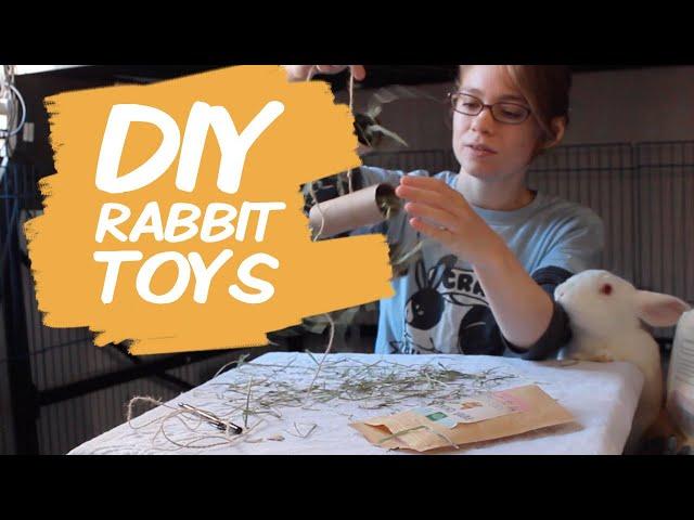 Easy DIY Rabbit Chew Toys