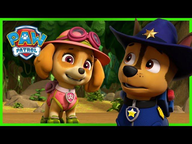 Chase and Skye Rescue Missions and MORE - PAW Patrol - Cartoons for Kids