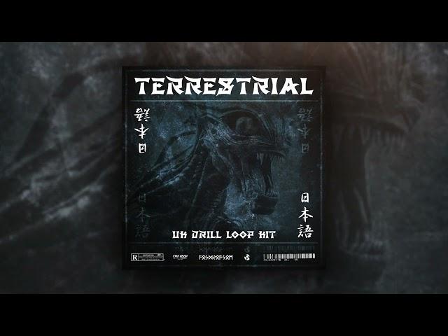 [FREE] TERRESTRIAL | UK/NY Drill Loop Kit | Drill Sample Pack 2024 (DARK/VOCALS/ETHNIC)