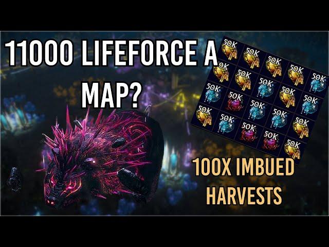 1.1 Million Lifeforce in 100 maps - Loot from 100x Imbued Harvests (Path of Exile 3.24)