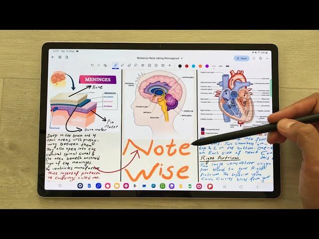 How to Use Notewise App for Note-taking & PDF Annotations on Android - 15 Tips and Tricks