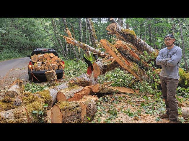 Roadside Firewood Haul After a Storm (Forest Service Showed Up)