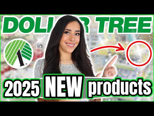 25 Things you SHOULD Be Buying at Dollar Tree in 2025