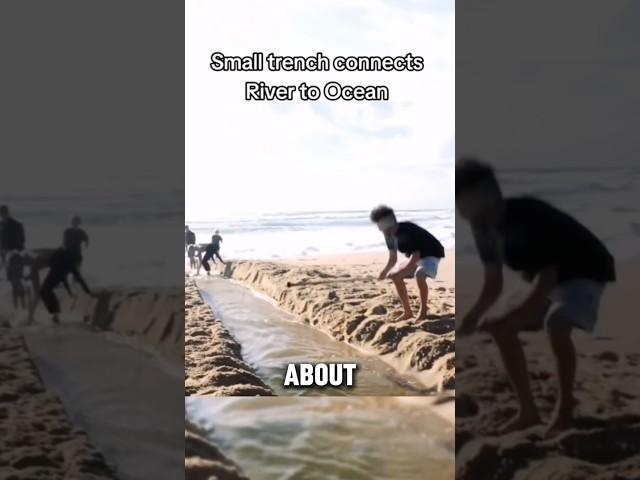 No Way It Got That Big