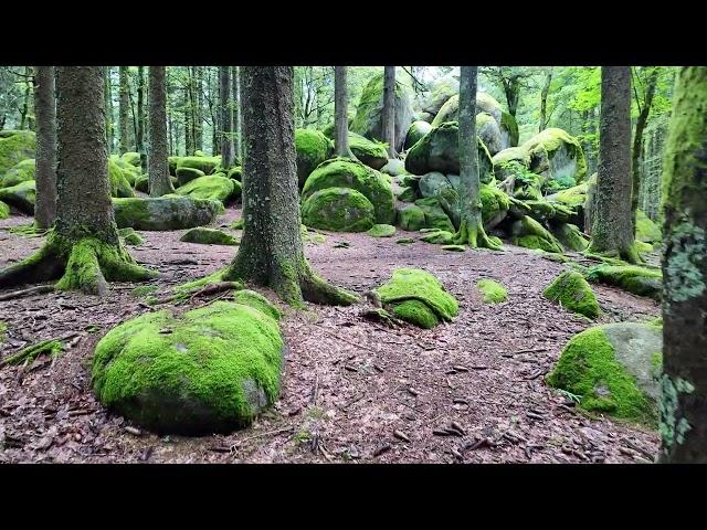 Auf dem Brend in Furtwangen im Schwarzwald