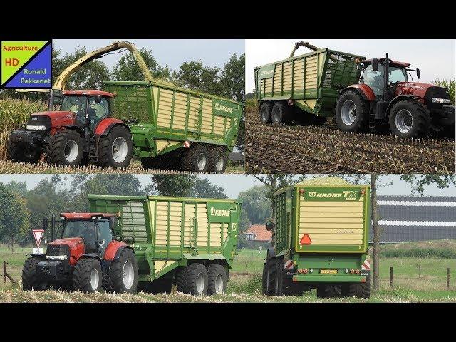 Mais hakselen  Tuller Bathmen met Krone big X 700 en case puma's met Krone TX 460