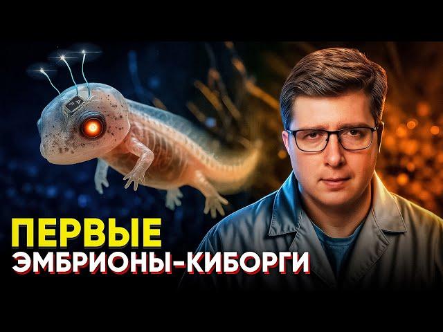 “Открыли ПЯТУЮ силу природы”. Что удалось физикам на самом деле | ПУШКА