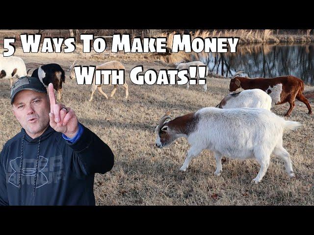 5 Ways To Make Money Raising Goats